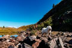 CFL_2025_AlpeDhuez_INKFISMEDIA_0461