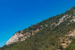 CFL_2025_AlpeDhuez_INKFISMEDIA_0902