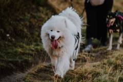 CFL-DAG-2-WANDELAARS-OCHTEND-46