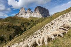 2022 - Climbing For Life - Dolomiti (387)